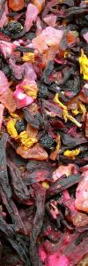 Früchtetee Dragon Berry Bio