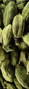 Kardamom mit Schale ganz Bio