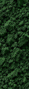 Spirulina gemahlen Bio